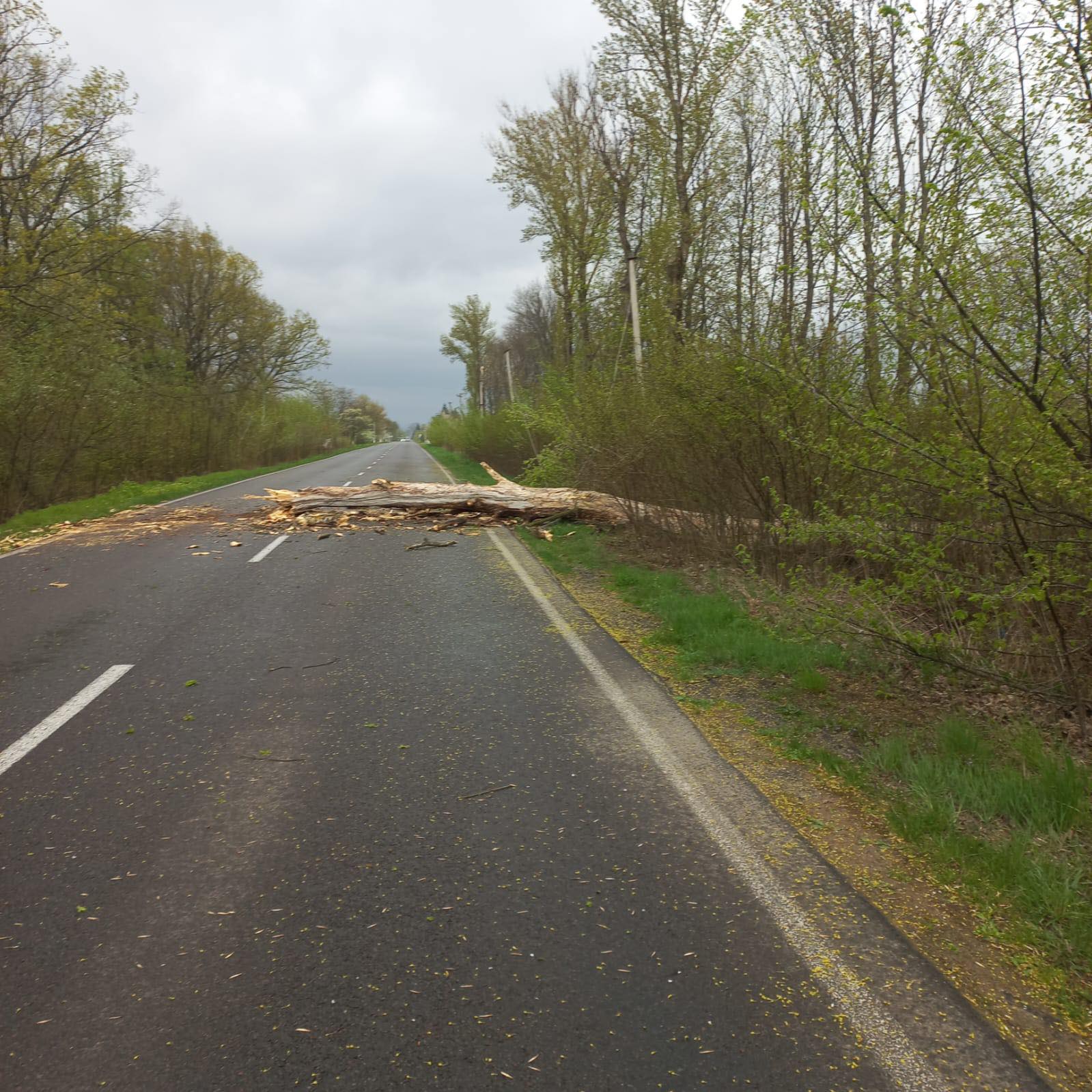 Наслідки буревію на дорозі Р-24 Татарів — Камʼянець-Подільський, км 131+150