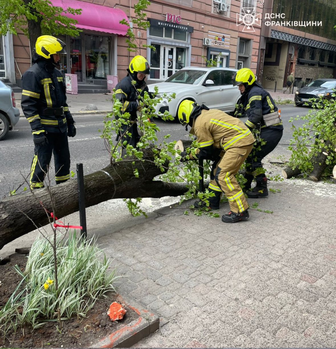 Негода на Прикарпатті: рятувальники ліквідовують наслідки падіння дерев