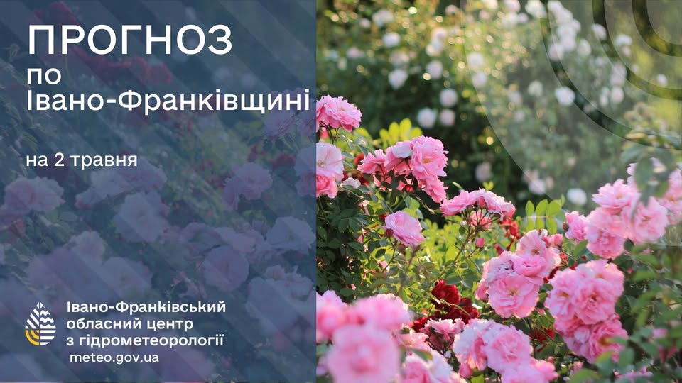 news-image