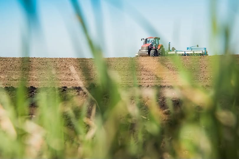 На Прикарпатті розпочалася сівба озимих культур під урожай 2027 року
