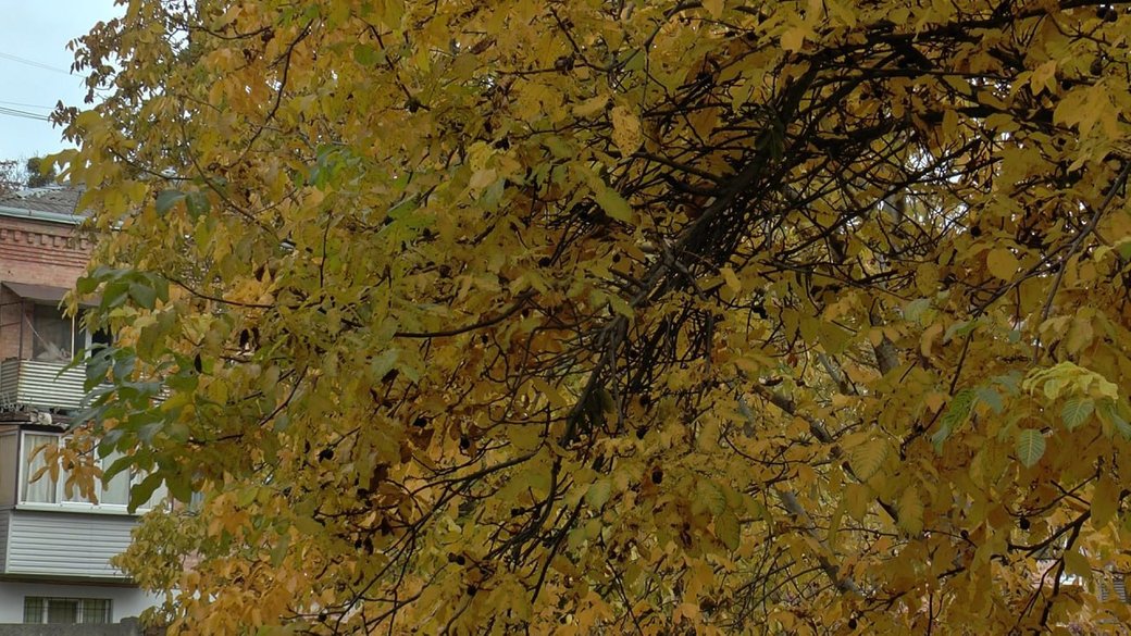 Якою буде погода на Полтавщині в листопаді