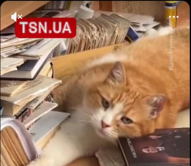 news-image