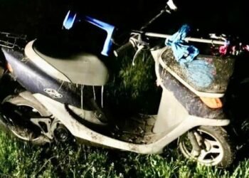 Зелене поле стало місцем трагедії: що сталося з водієм мопеда на Київщині