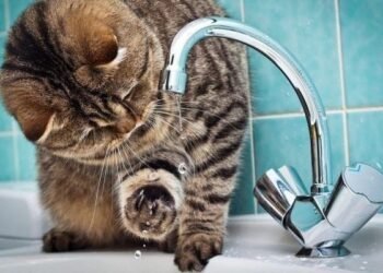 Після нічного удару: які райони Києва вже з водою та електрикою