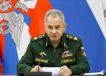 Шойгу заявил, что российская армия в этом году получит ЗРК нового поколения С-500