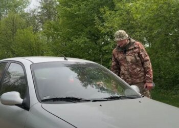 В Запорожье приговорили администратора Telegram-канала, который помогал уклоняться от мобилизации