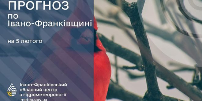 До 4° тепла: прогноз погоди у Франківську на 5 лютого