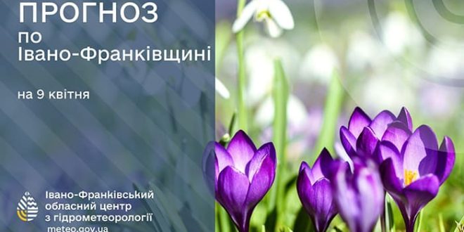 news-image