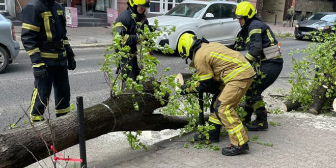 На Прикарпатті через сильний вітер падають дерева та електричні опори