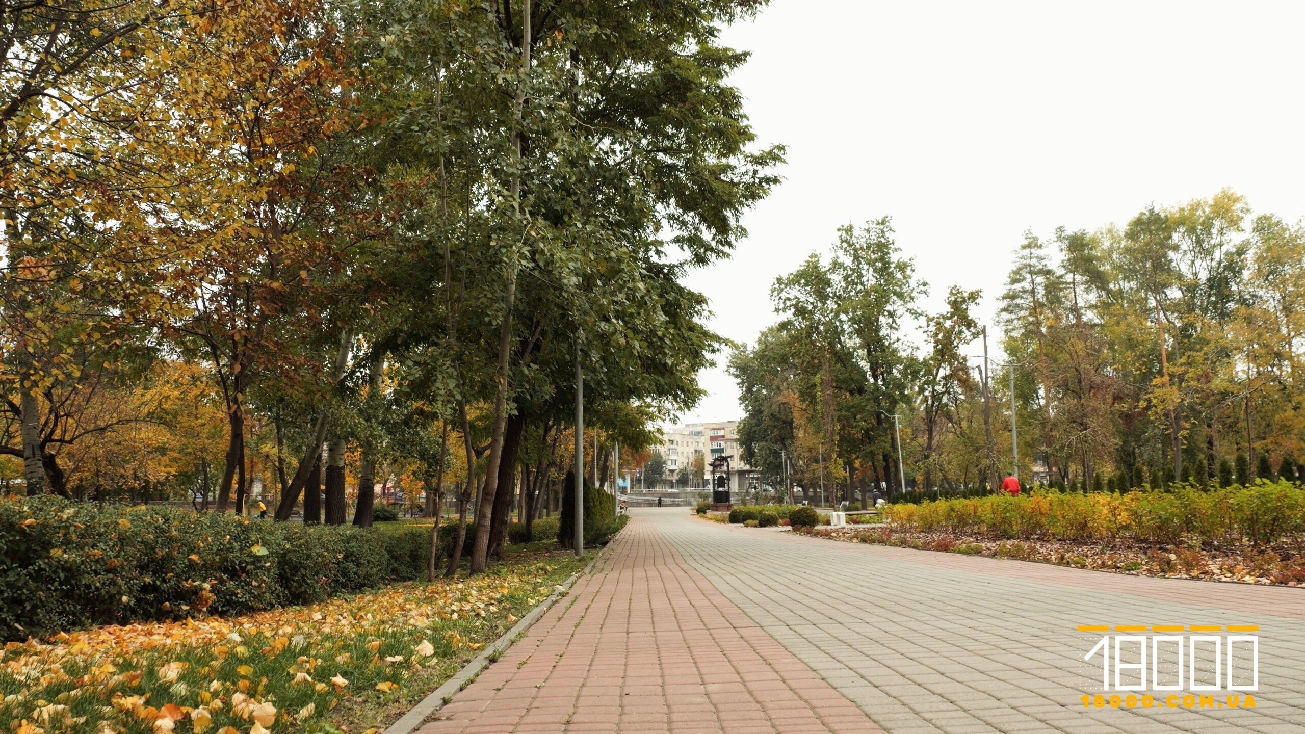 Черкаси відмовляються віддавати собору землю, яку відібрали в УПЦ