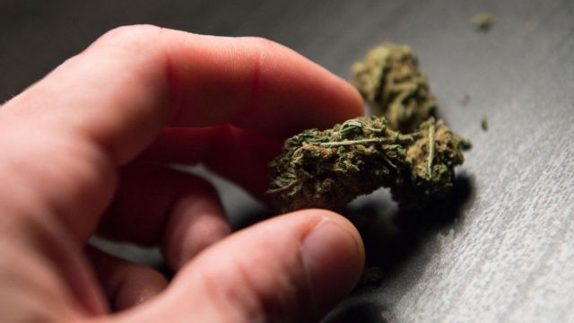 Жителя Уманщини підозрюють у продажі канабісу