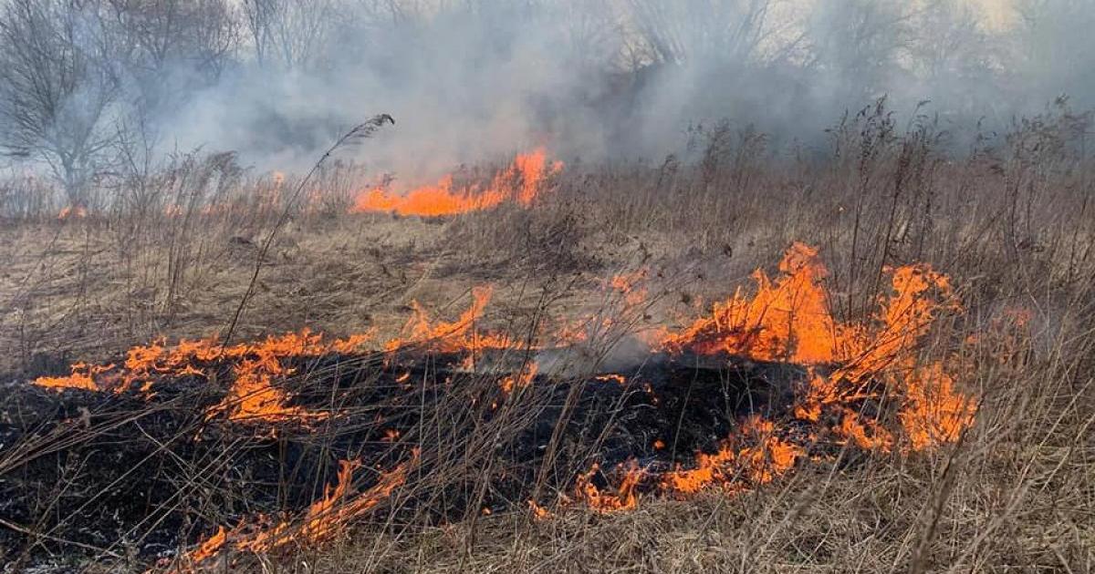 На Харківщині вигоріло 16 гектарів землі через випалювання сухостою