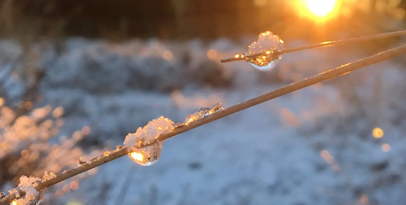 Потепління на Вінниччині прогнозують наприкінці наступного тижня