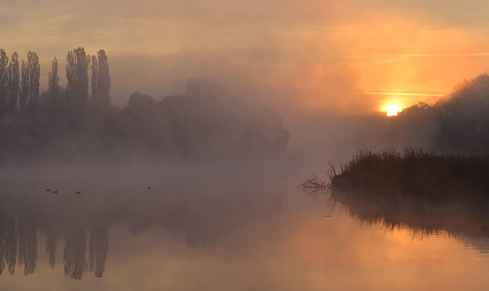 Фотогалерея «33-го каналу» «Світ навколо нас»