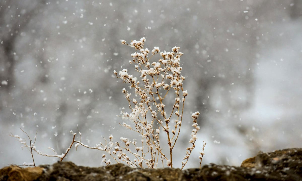Прогноз погоди для Рівненщини на 18 листопада. Дощ, місцями з мокрим снігом, сильні пориви вітру