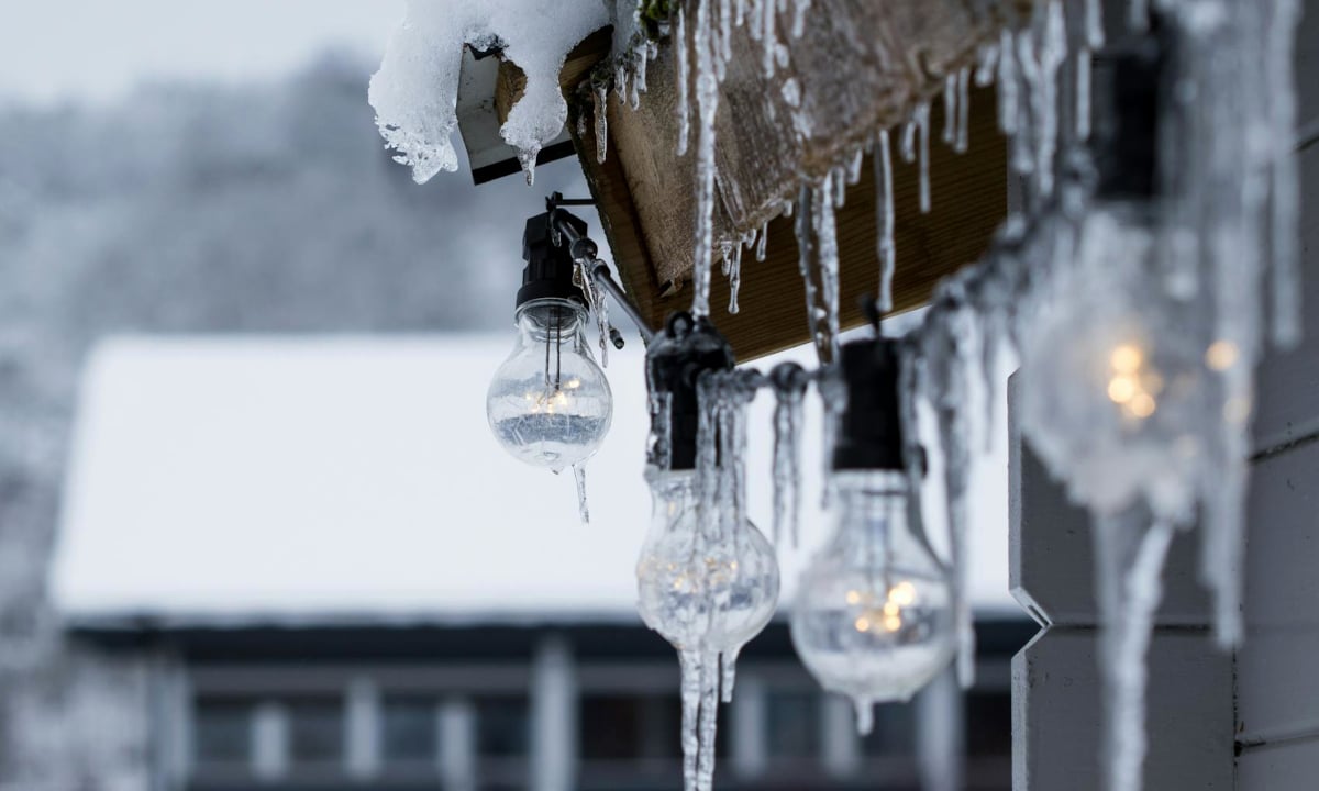 Якою буде погода на Рівненщині 14 грудня – синоптики попереджають про ожеледицю і вітер