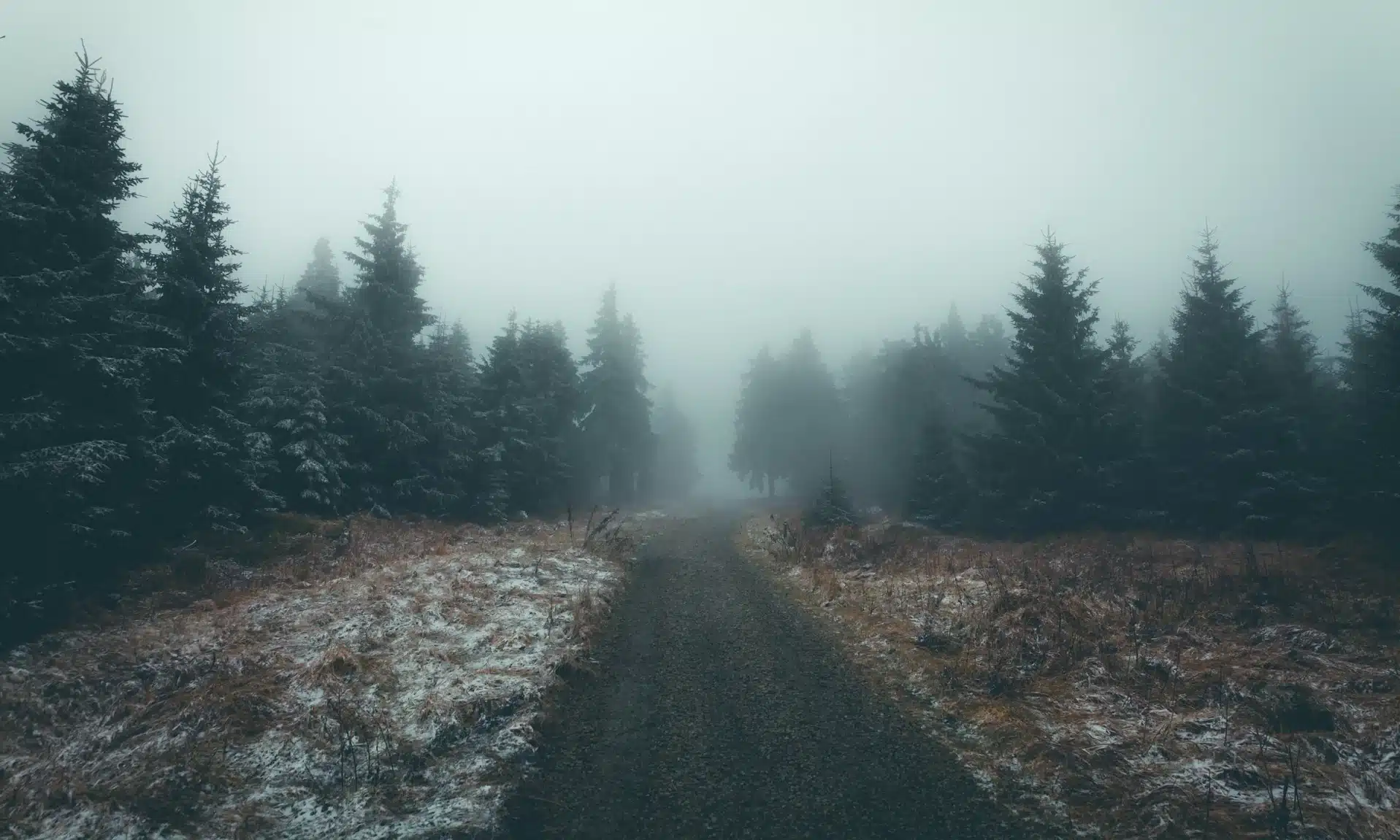 Чого чекати від погоди на Рівненщині 15 грудня розповіли синоптики