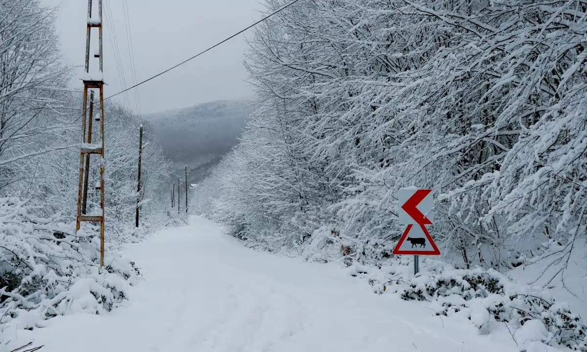Якою буде погода на Рівненщині 7 січня – сильний сніг і хуртовина