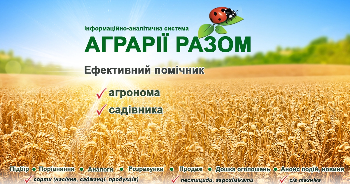 Уряд ухвалив постанову №738 щодо розподілу ролей у гуманітарному розмінуванні та посилення спроможності ЦГР