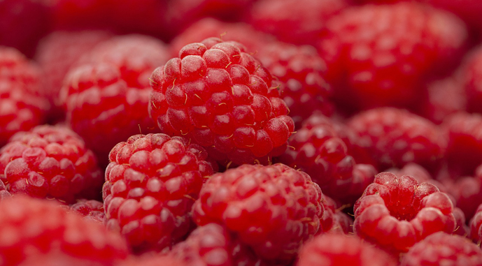 Малину на Чернігівщині збирали до грудня