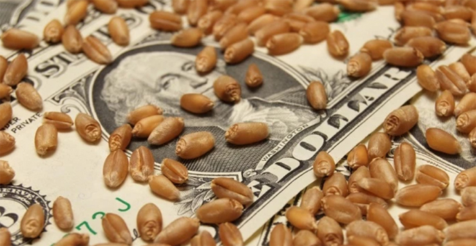 На експорт пішло понад 28 млн т українського зерна