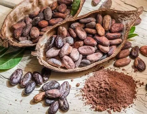news-image