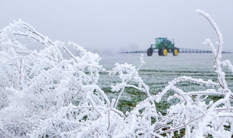 Мінімальна температура на глибині залягання вузла кущіння на Львівщині цього тижня становила -4,3 °С