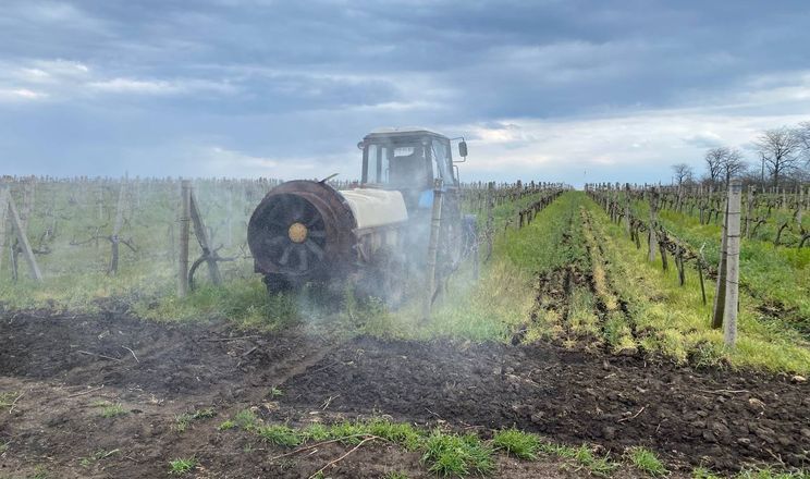 В Інституті Таїрова розпочали захист виноградників від хвороб