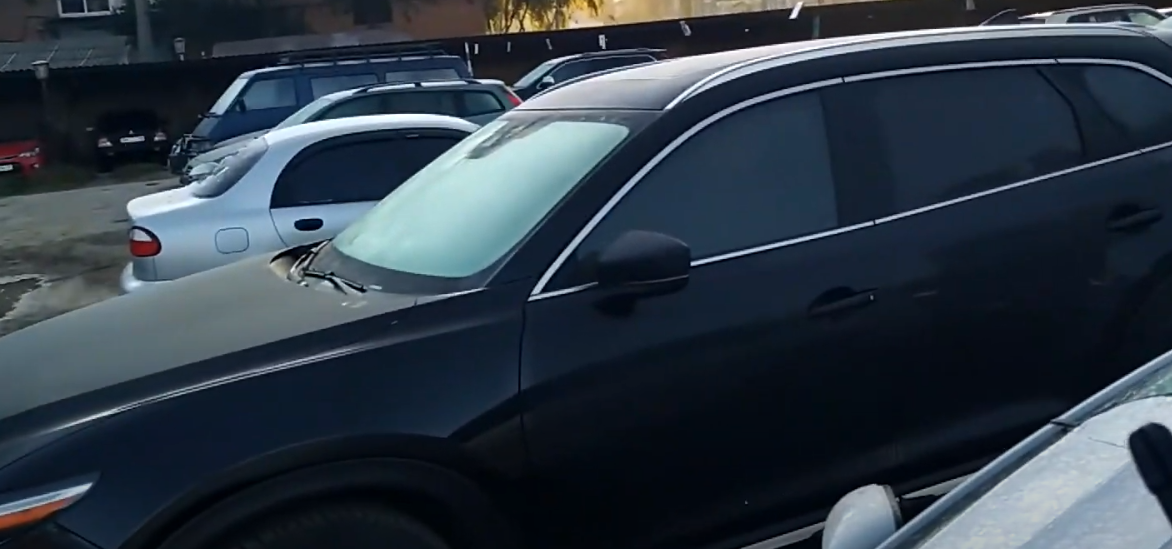 Цибуля на лобовому склі? Водії в шоці від лайфгака, який реально рятує авто взимку