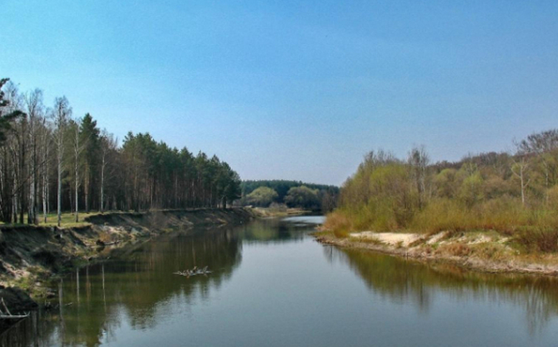 Стало зле біля річки: на Полтавщині загадково померла дитина
