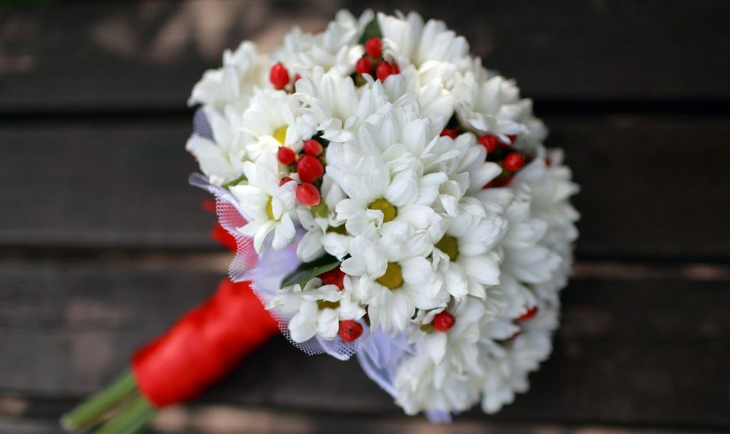 Канадка знатно осоромилася, кидаючи букет нареченої (ВІДЕО)