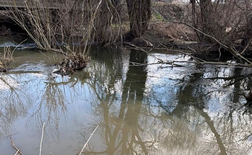 У Бучі невідомі скидають неочищені стоки у річку (ВІДЕО)