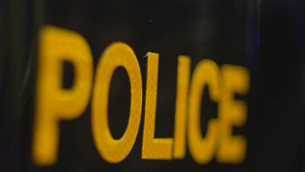 Озброєна поліція штурмувала будинок через гучні звуки в онлайн грі