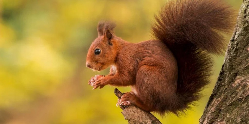 news-image