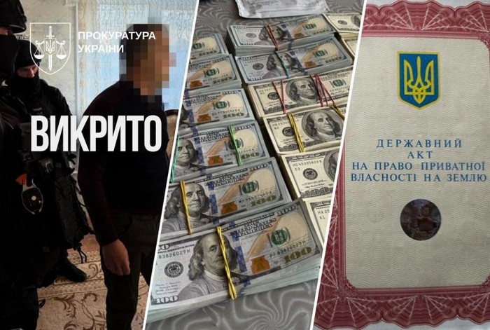 Землю, не внесену до кадастру, оформлювали на підставних осіб і продавали: на Київщині викрито схему на понад ₴9 млн