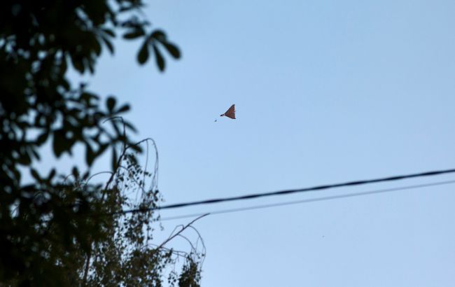 news-image