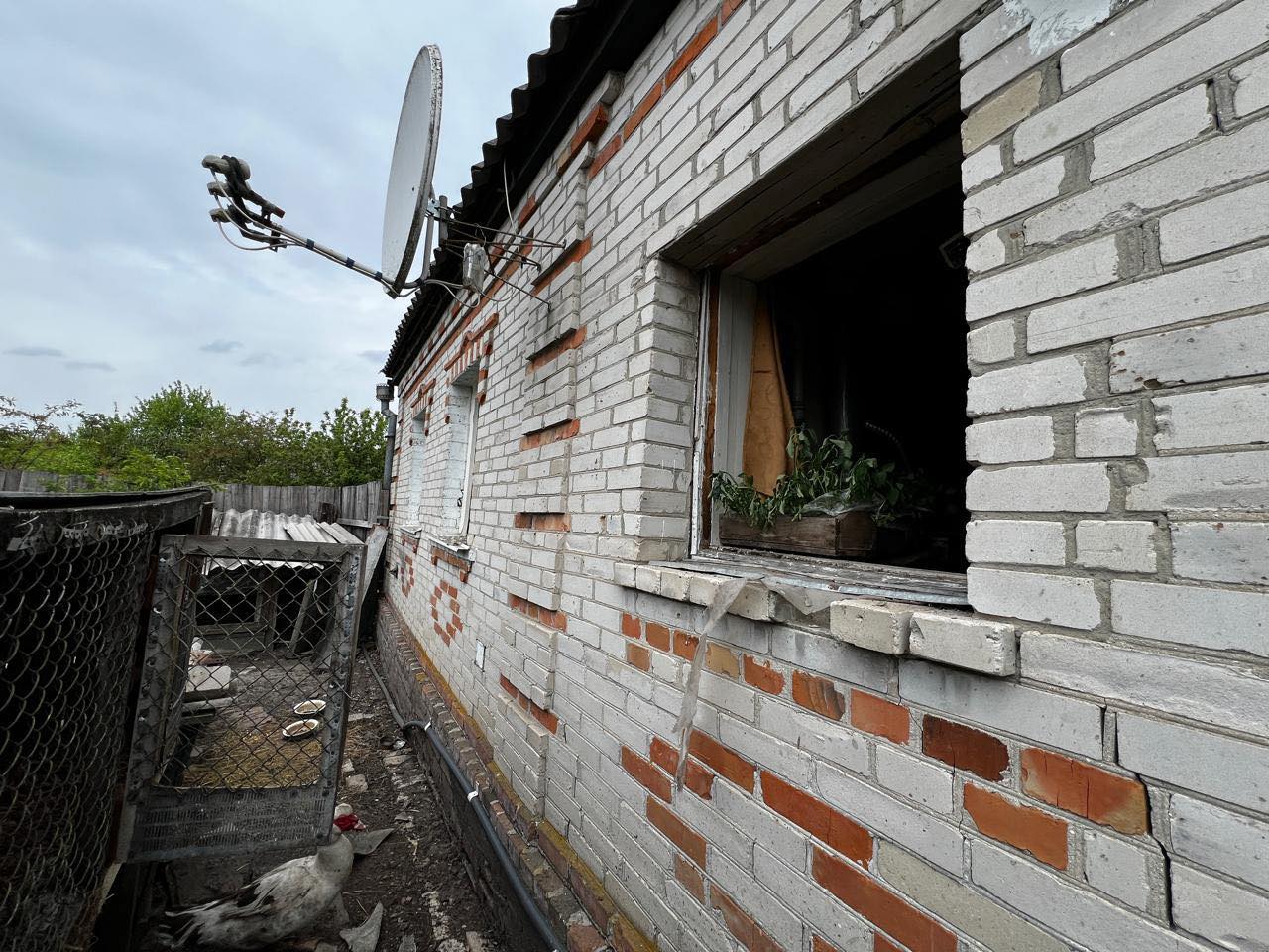news-image
