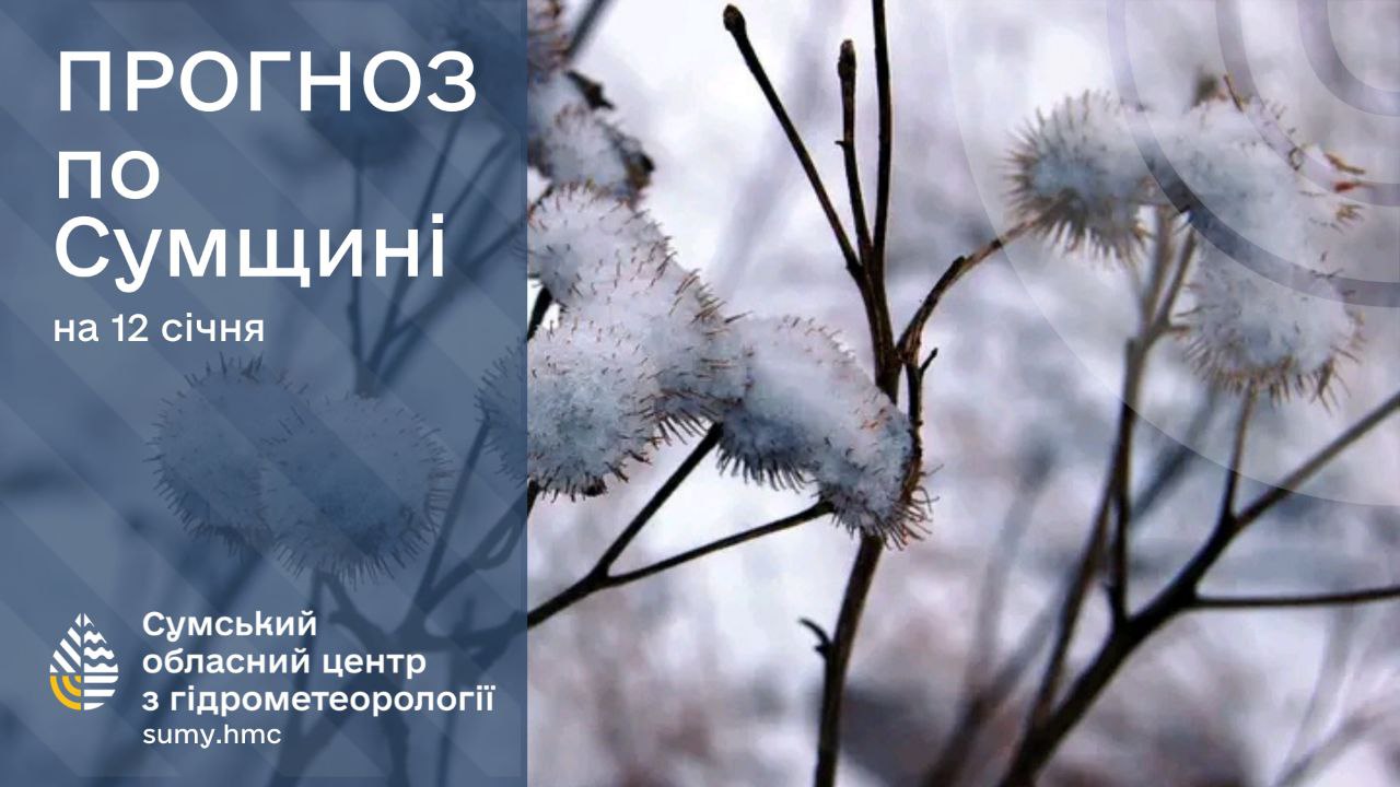 На Сумщині прогнозують до 22 градусів морозу