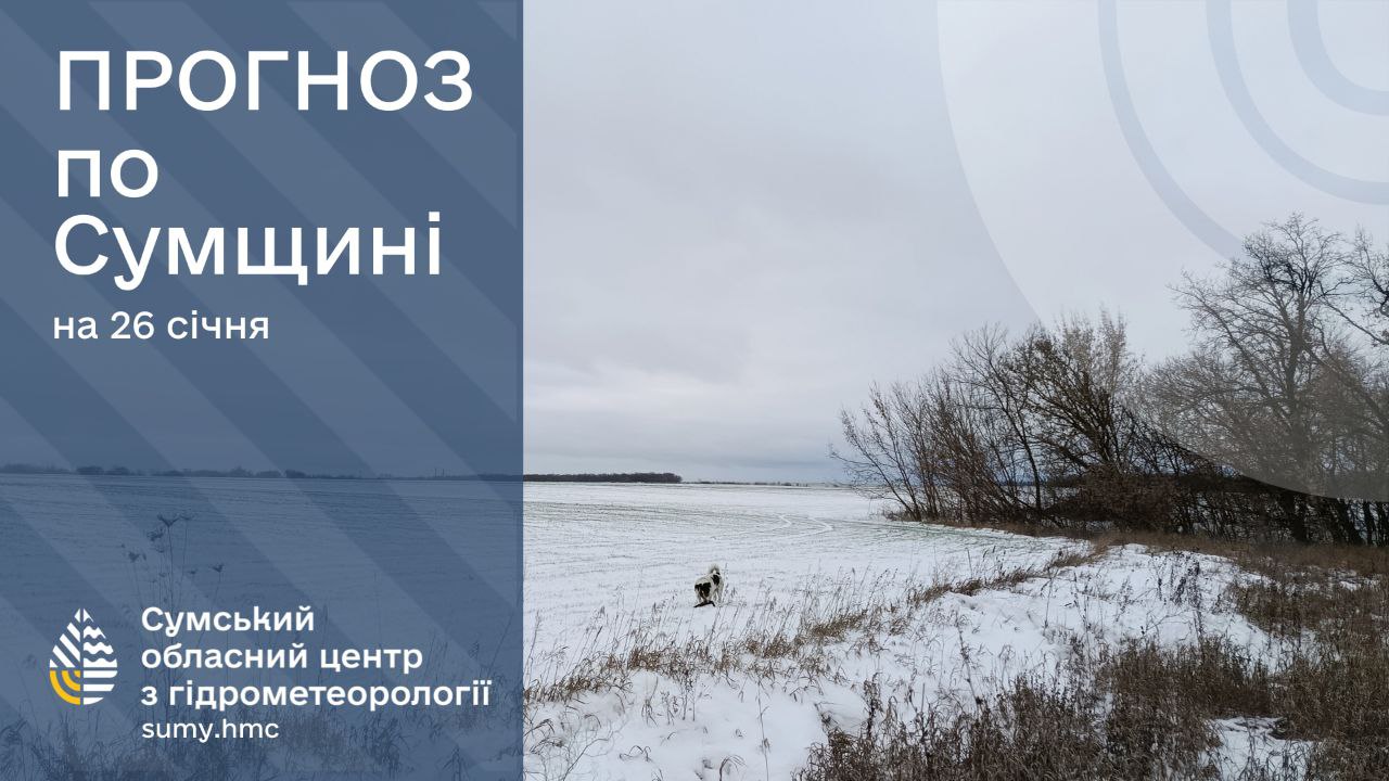 На Сумщині прогнозують потепління