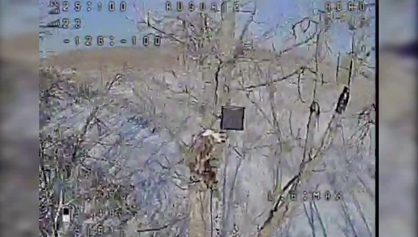 На Сумському напрямку прикордонники завдали ударів по системах зв’язку та розвідки (відео)