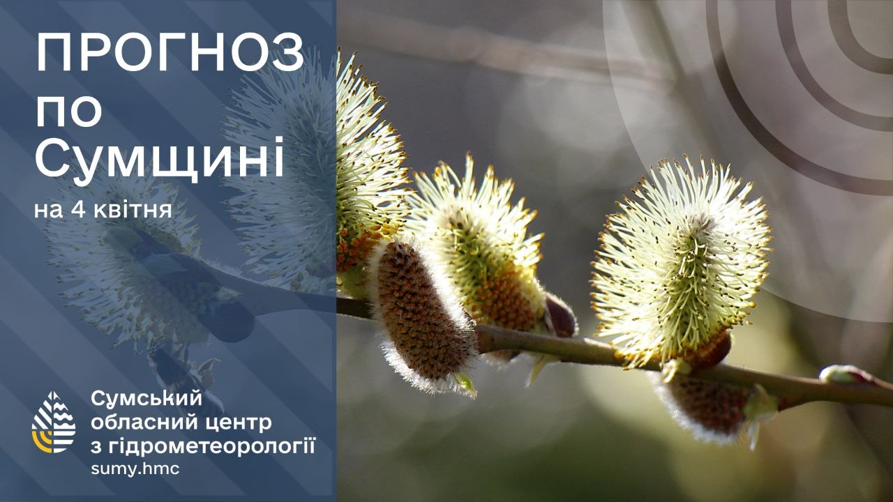 Дощі, грози та туман: прогноз погоди на Сумщині на найближчі вихідні