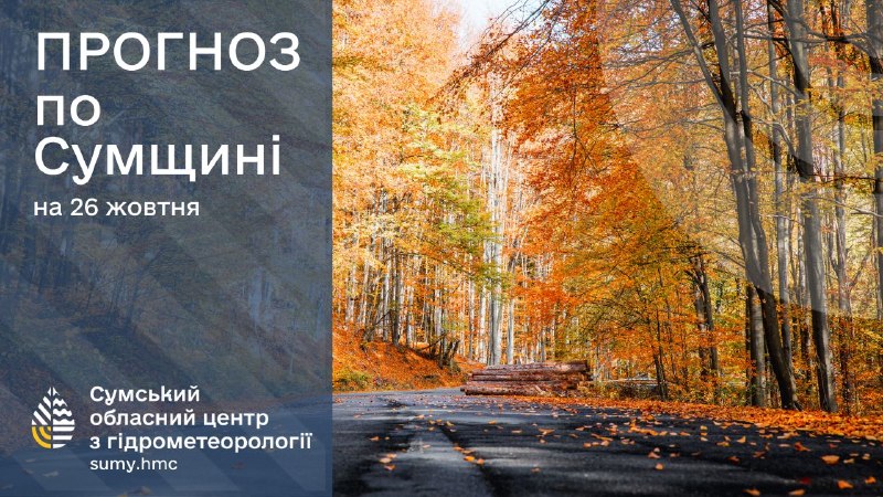 Прогноз погоди по Сумщині на 26-28 жовтня: очікується вітер та дощі