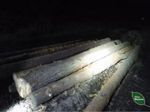 Рівненщина: крадії лісу спробували знищити докази, кинувши коктейль молотова у машину