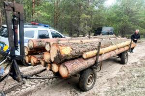 На Рівненщині затримали кількох осіб за незаконне перевезення деревини