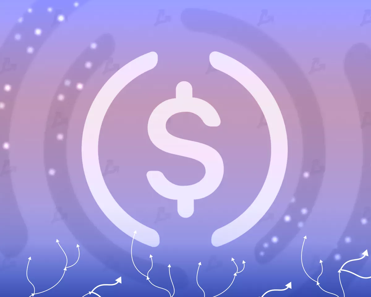 USDC превзошел USDT по активности использования в DeFi