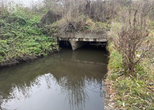 Зборівська міськрада протиправно оформила у власність 14 га земель