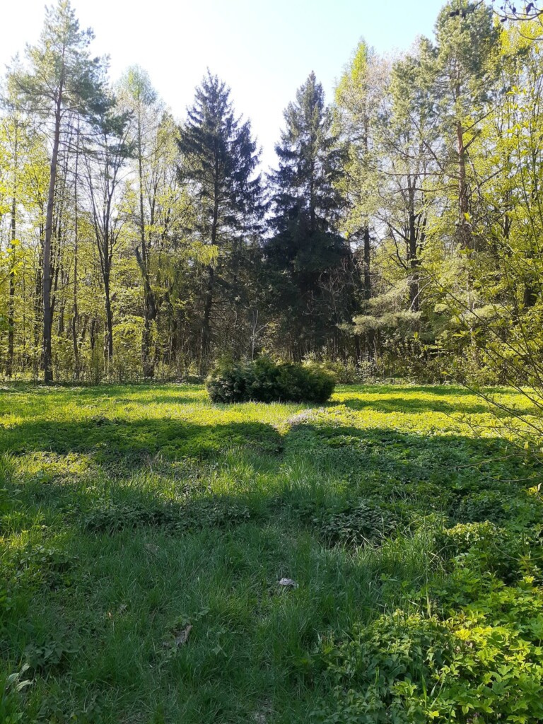 На Гусятинщині балансоутримувача парку просять подбати про безпеку відвідувачів