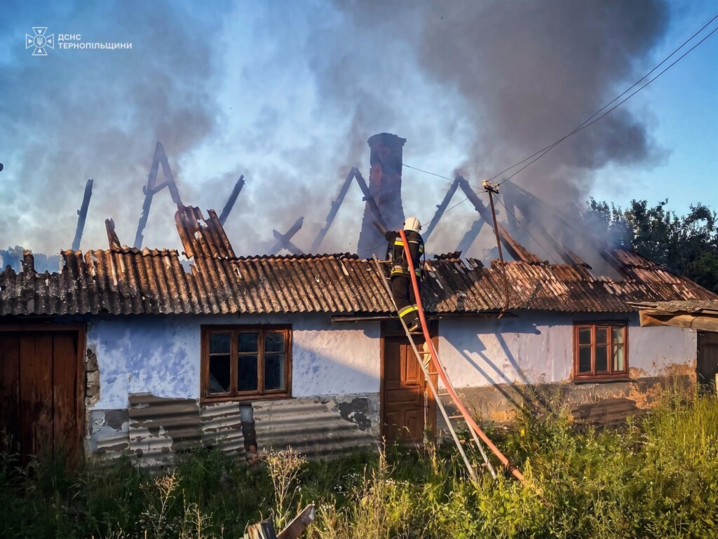news-image
