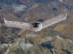 Розкриті технічні характеристики нового американського розвідувального дрона eBee TAC