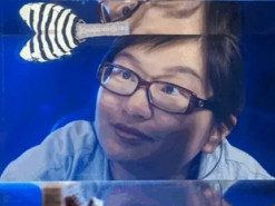 Схожі на Lego. Роботи отримали спеціальні блоки, які змінюють жорсткість і рух